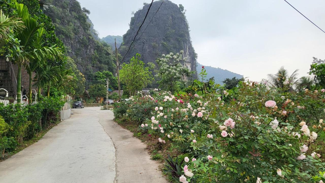 Tam Coc Eco Field Homes Ninh Binh Buitenkant foto